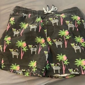 Party pants zebra shorts
